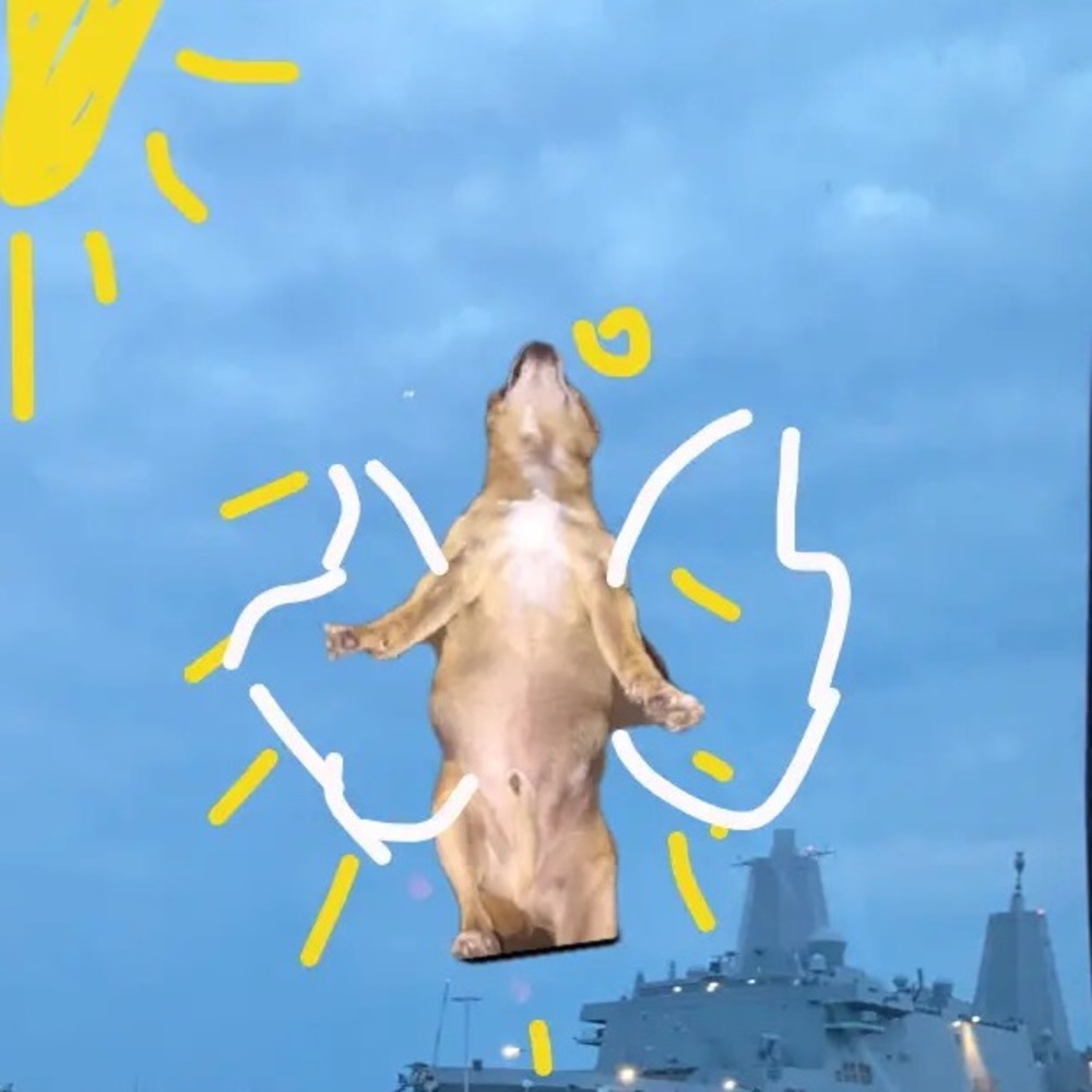 Meet your Posher, Natalie